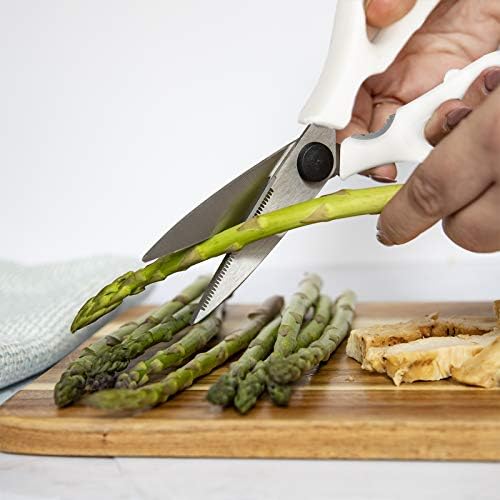Rae Dunn Kitchen Scissors- Stainless Steel Kitchen Shears, Cooking Scissors