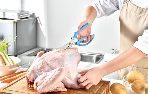 Heavy Duty Poultry Shears