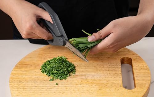 Zyliss Household Scissors – Multi-Purpose Stainless Steel Kitchen & Home Shears