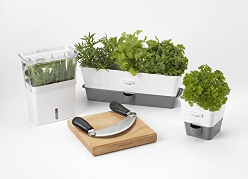 Cole & Mason Burwell Self-Watering Potted Herb Keeper