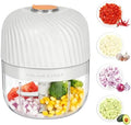 Electric Garlic Chopper 252ML, Mini USB Rechargeable Veggie Chopper, Cordless