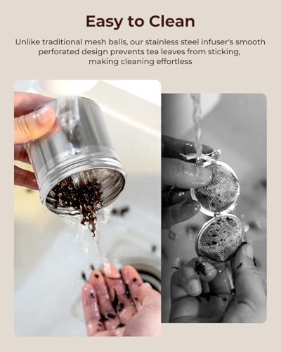 Reinmoson 2 Pack Extra Large Tea Infuser