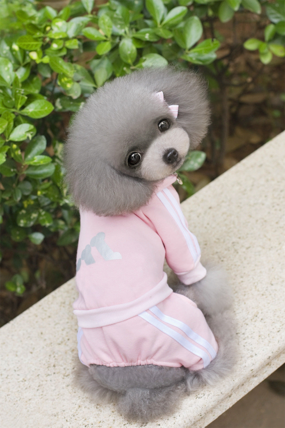 Pet Dog Jumpsuit for Small Medium Dogs