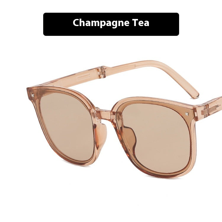 Foldable Sunglasses with Case Lightweight Portable Travel Eyewear