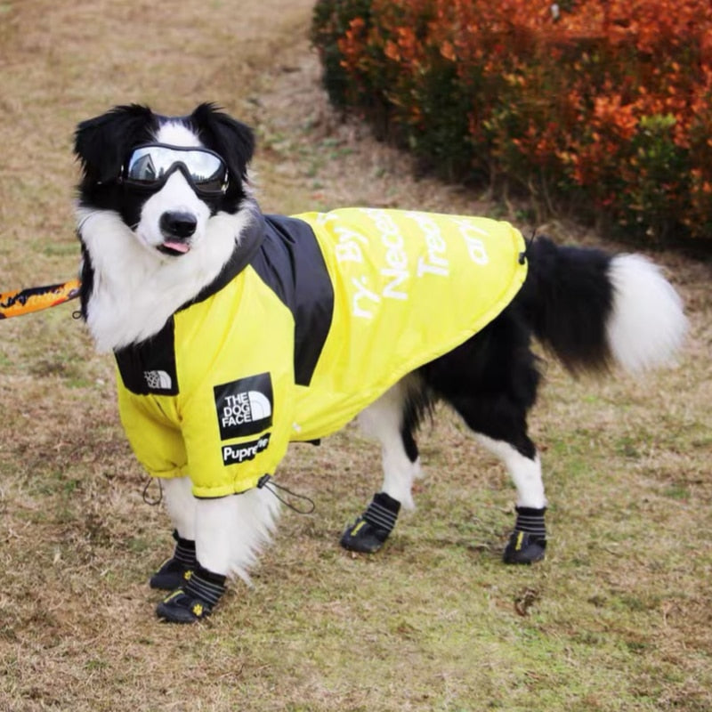 Yellow and Black Waterproof Dog Rain Jacket with Reflective Details - Image 19