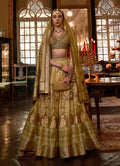 Olive color Rajwadi silk designer lehenga choli