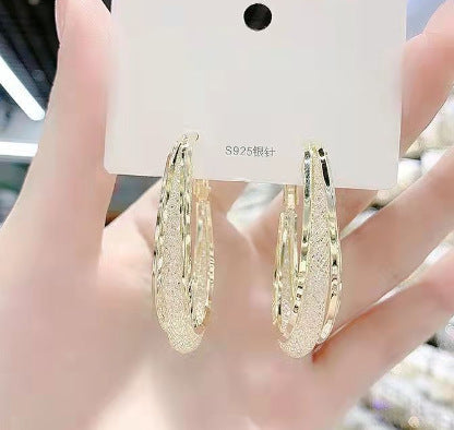 New Niche-design Light-luxury Earrings