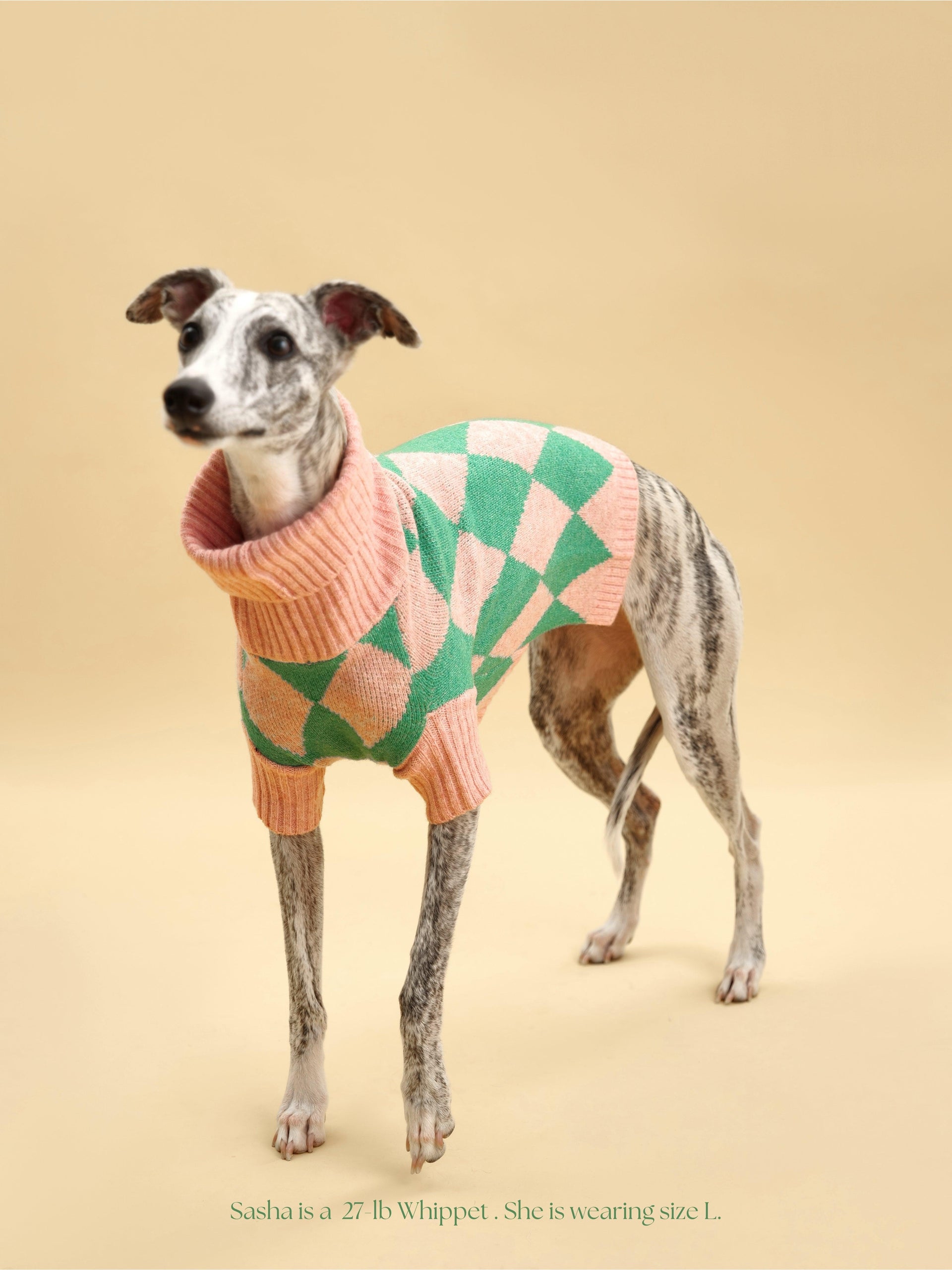 Sunday Brunch in Brooklyn Sweater