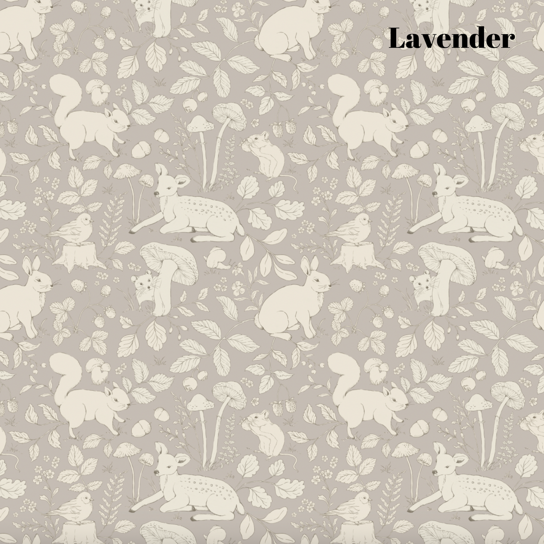 Finch Peel and Stick Removable Wallpaper by Daphne and Sage