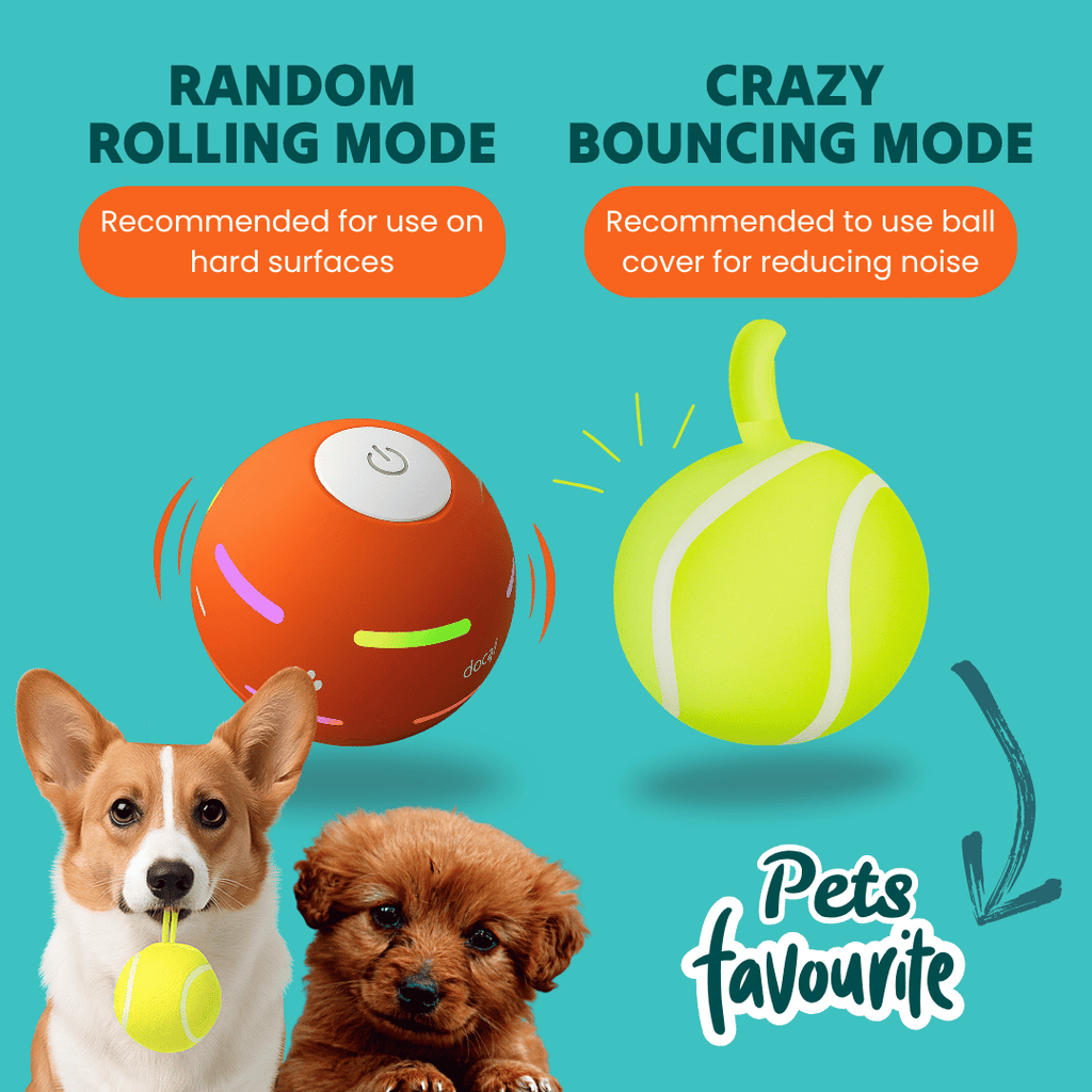 DOG’S INTERACTIVE BALL