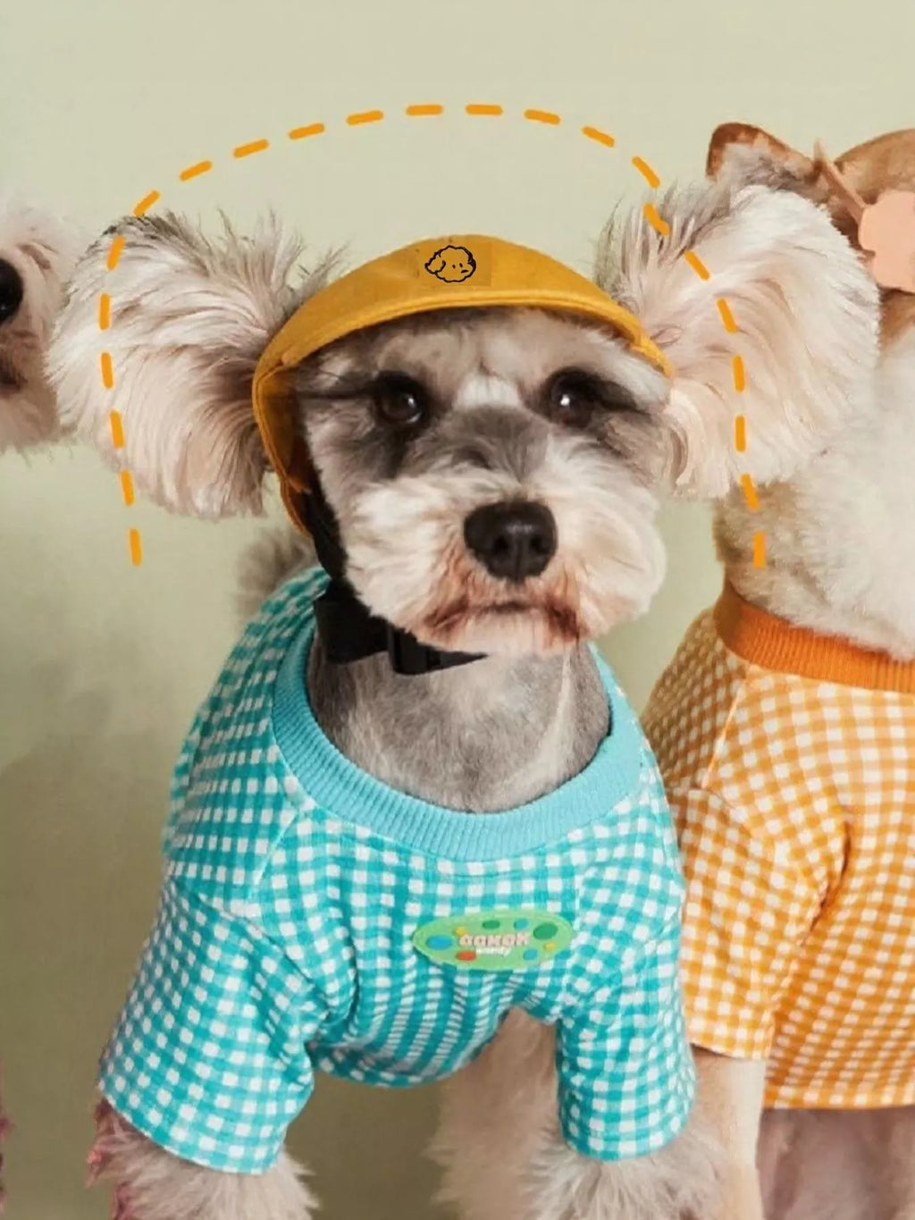 4b2d63f0-330b-4f49-acc7-d25336b209be-Max-Origin