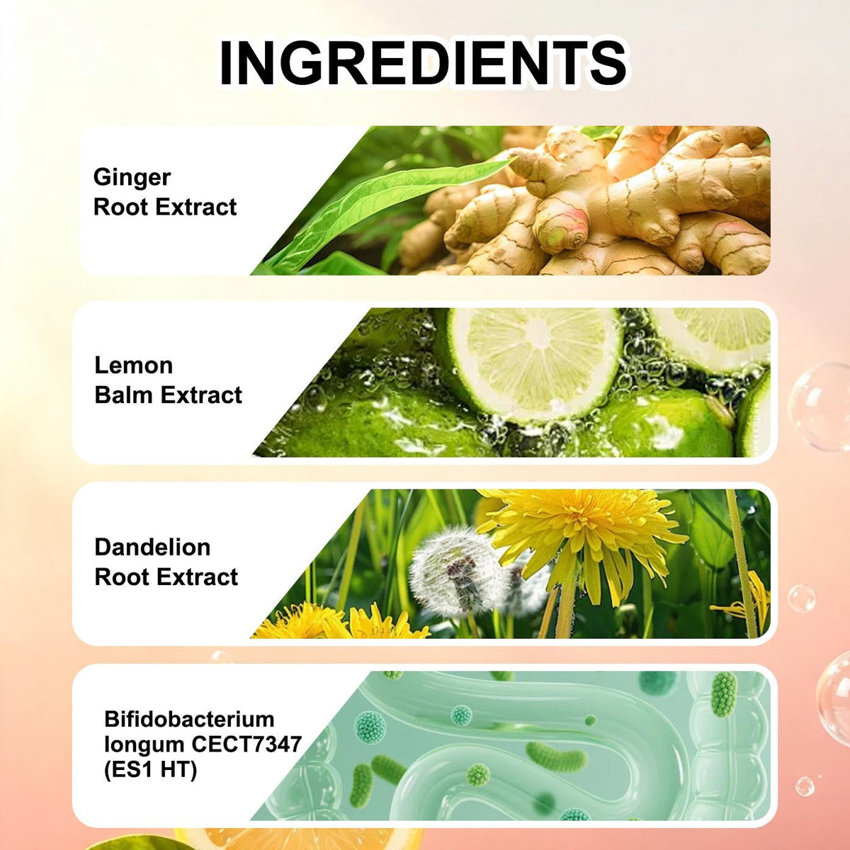 DIGESTIVE GUMMIES Digestive Gummies 60 Tablets
