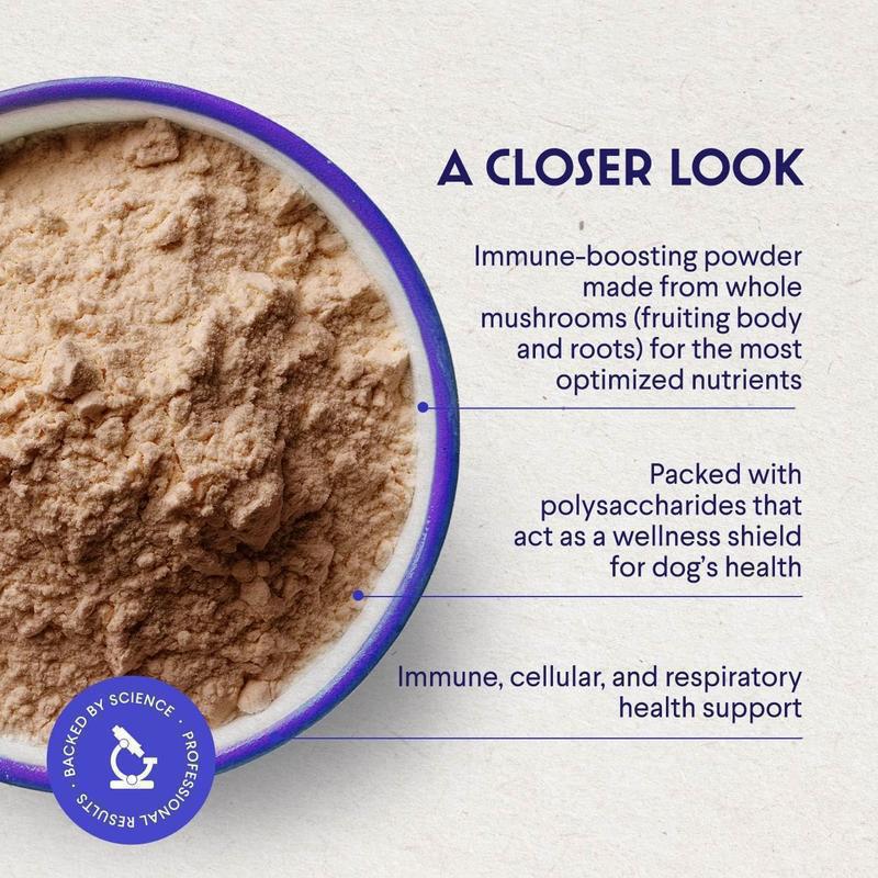 Ceylon Cinnamon Softgel Health Supplement