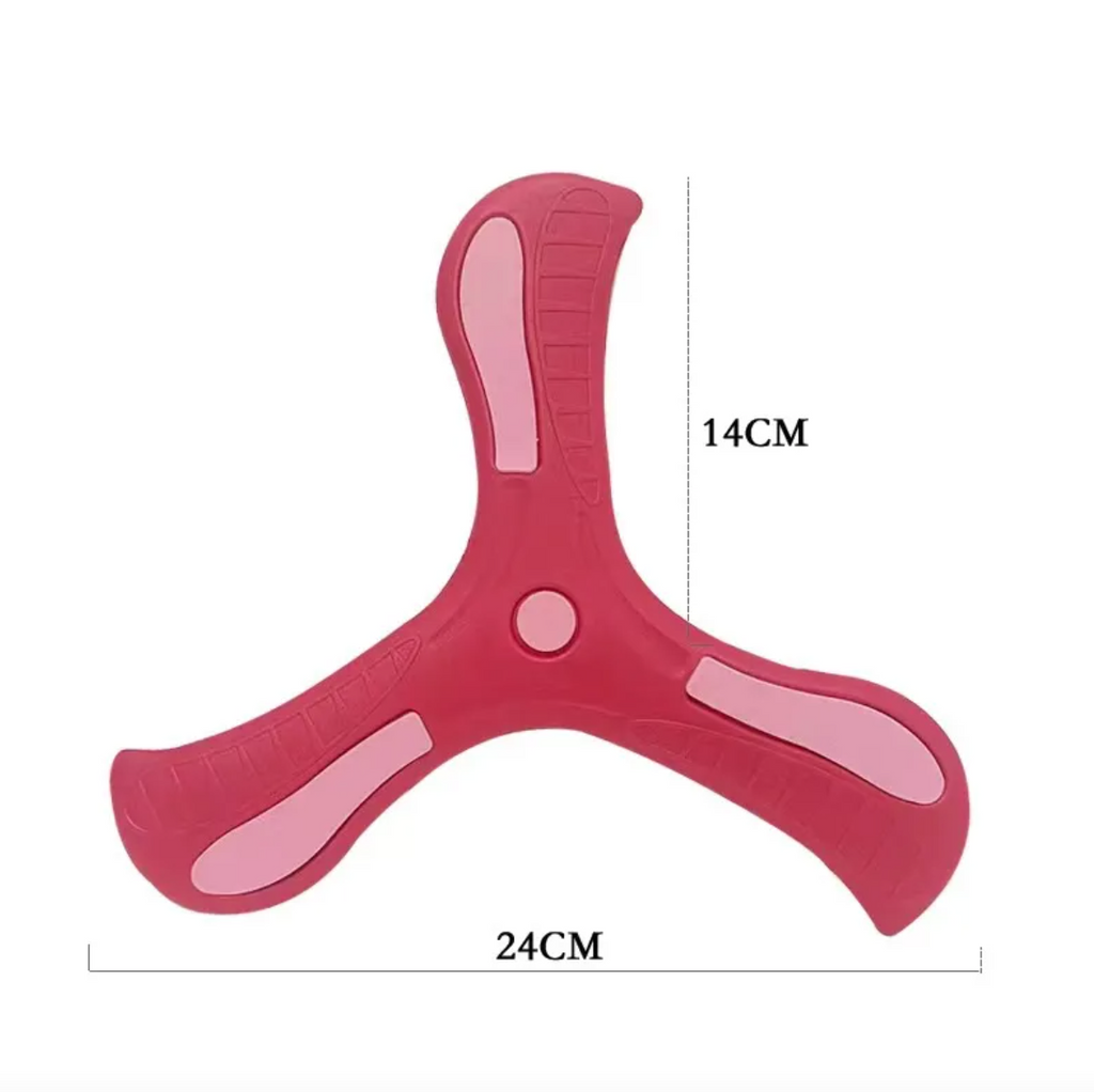 Flexible Boomerang Toy