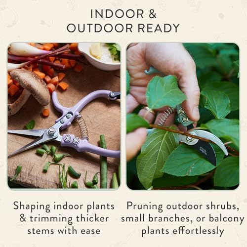 Modern Sprout Hand Pruners+Shears Set w/Blister