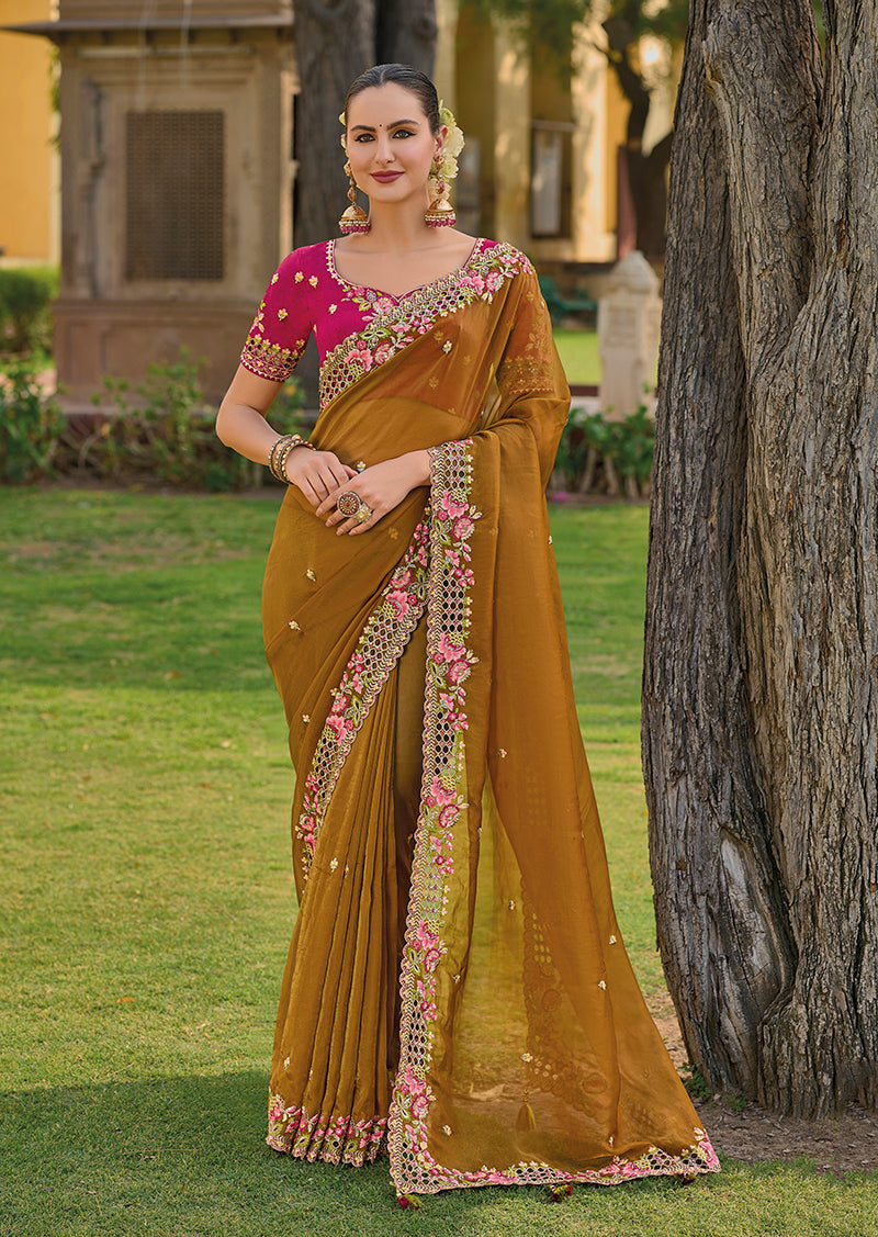 Light brown organza silk saree with delicate embroidery detailing