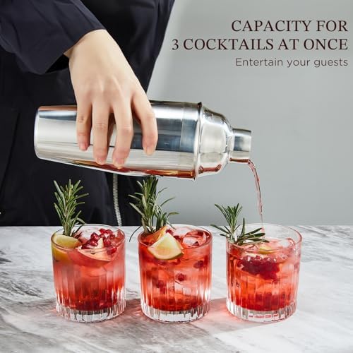 Cocktail Shaker, KITESSENSU 24oz Drink Shaker