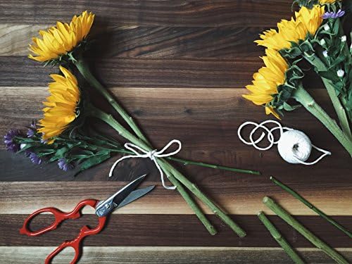 ZWILLING Kitchen Shears, Bottle Opener, Jar Lid Lifter, Dishwasher Safe