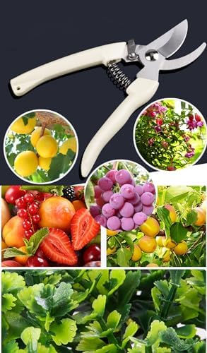 Garden Flower Shears Pruning Shears 6.9 inches Straight and Bypass Scissors