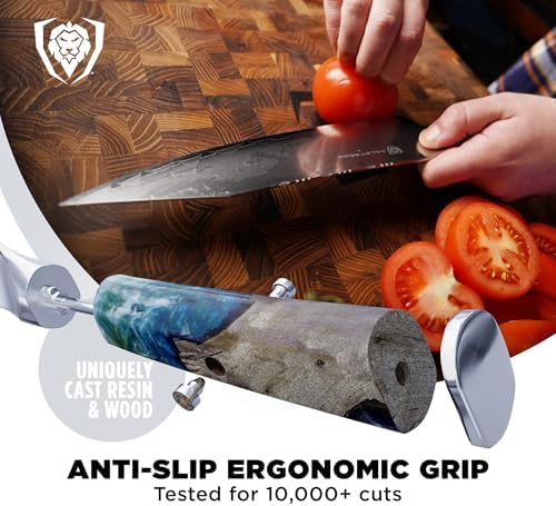 Dalstrong Chef Knife