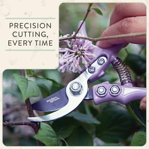 Modern Sprout Hand Pruners+Shears Set w/Blister