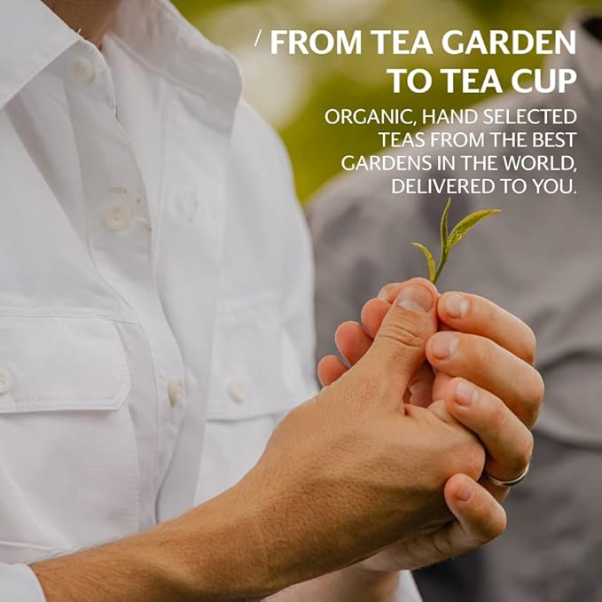Grace Farms Organic Classic Chai Black Tea, 50 Sachet Pouch | Ginger & Spices | Fairtrade & Kosher |Gives Back 100% of Profits