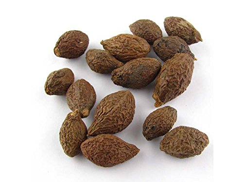 Greenhilltea, Malva Nut Dried Sterculia Lychnophora, Dried Pangdahai胖大海, Caffeine free .NO GMO, NO Additives, Selected,shipping from USA, packaged in foil zip lock bag 3.5 OZ