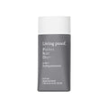 Living Proof Perfect Hair Day 5-in-1 styling treatment bottle in grey and white packaging