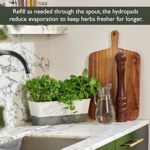 Cole & Mason Burwell Self-Watering Potted Herb Keeper