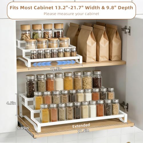 Expandable Spice Rack Organizer