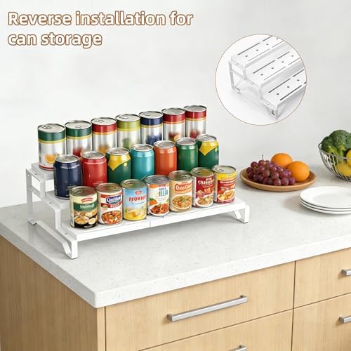 Expandable Spice Rack Organizer