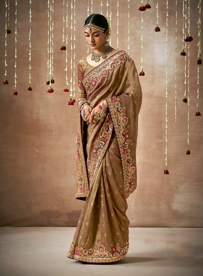 Classic brown organza and silk saree with fine embroidery details.