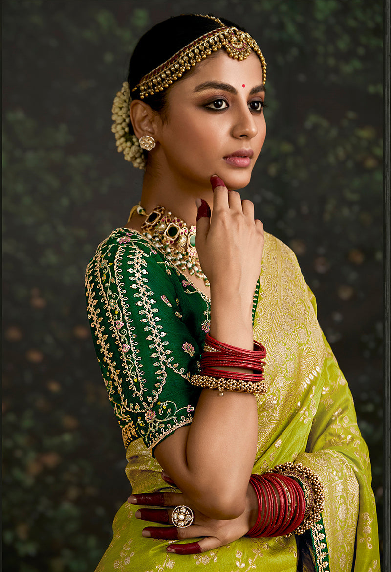 Monjolika Fashion Sequins Embroidered Border Work Dola Silk Pear Reception Classic Saree