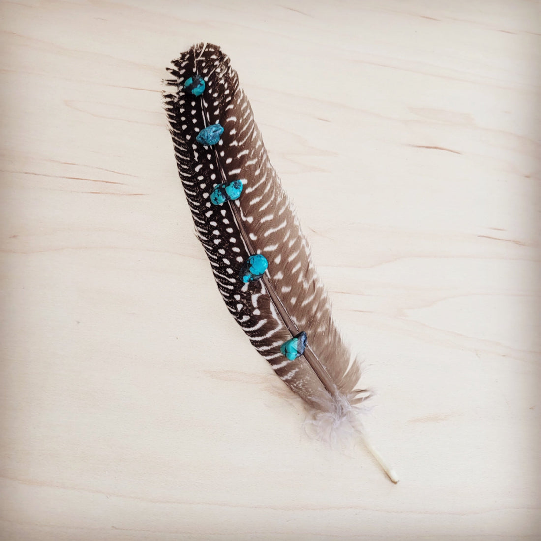 Spotted Turkey Feather Hat Accent w/ Turquoise Stones 954v