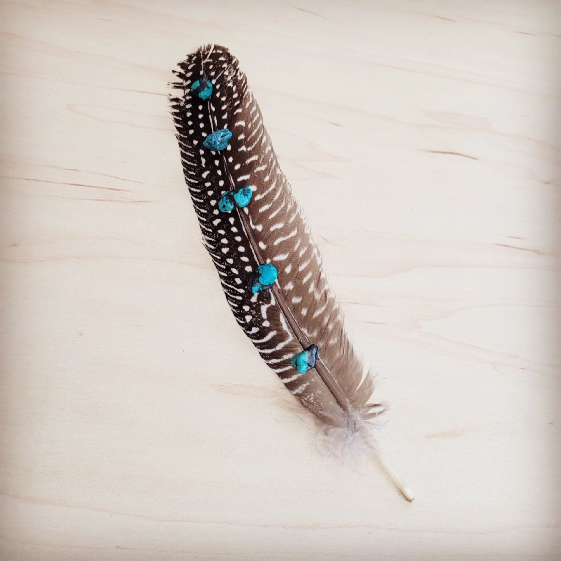 Spotted Turkey Feather Hat Accent w/ Turquoise Stones 954v