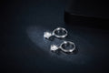 4x6mm Pear Cut Moissanite Hoop Earrings in S925 Sterling Silver