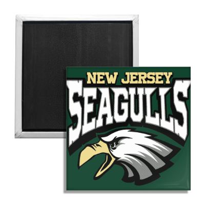 A 2x2 inch New Jersey Seagulls novelty fridge magnet for home decor