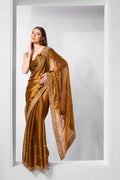 A beautiful brown Jimmy Chu saree with detailed embroidery and stone embellishments.