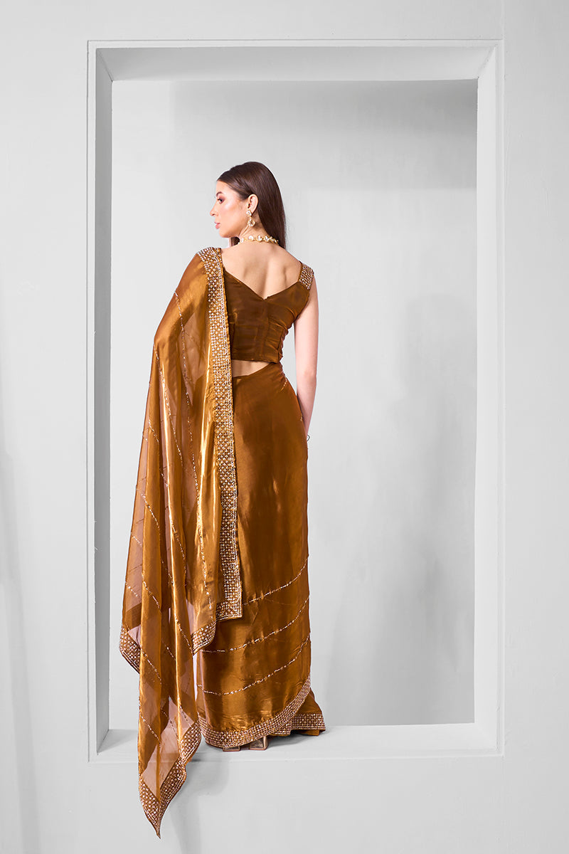 Brown Jimmy Chu Embroidered Saree with Stone Work