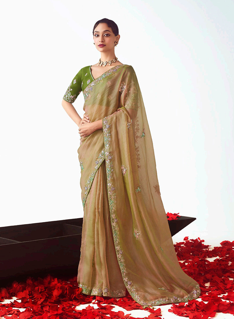 Beige fancy fabric designer saree with intricate embroidered cut work detailing.