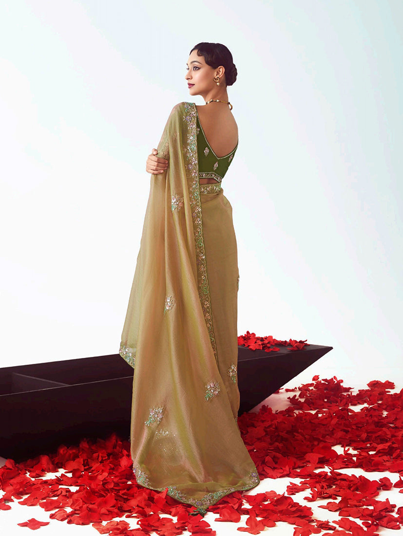 Beige Embroidered Cut Work Fancy Fabric Designer Saree