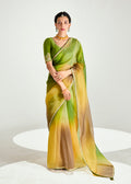Multi-colored organza tissue saree with sequins embroidery and intricate handwork