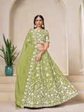 Woman wearing a Light Olive Embroidered Crush Organza Lehenga Choli with intricate embroidery detail.