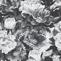Avril Floral Removable Wallpaper in Black and White