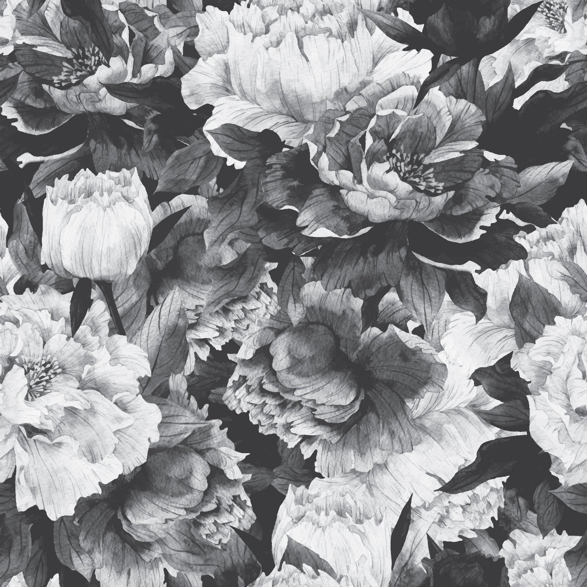 Avril Floral Removable Wallpaper in Black and White