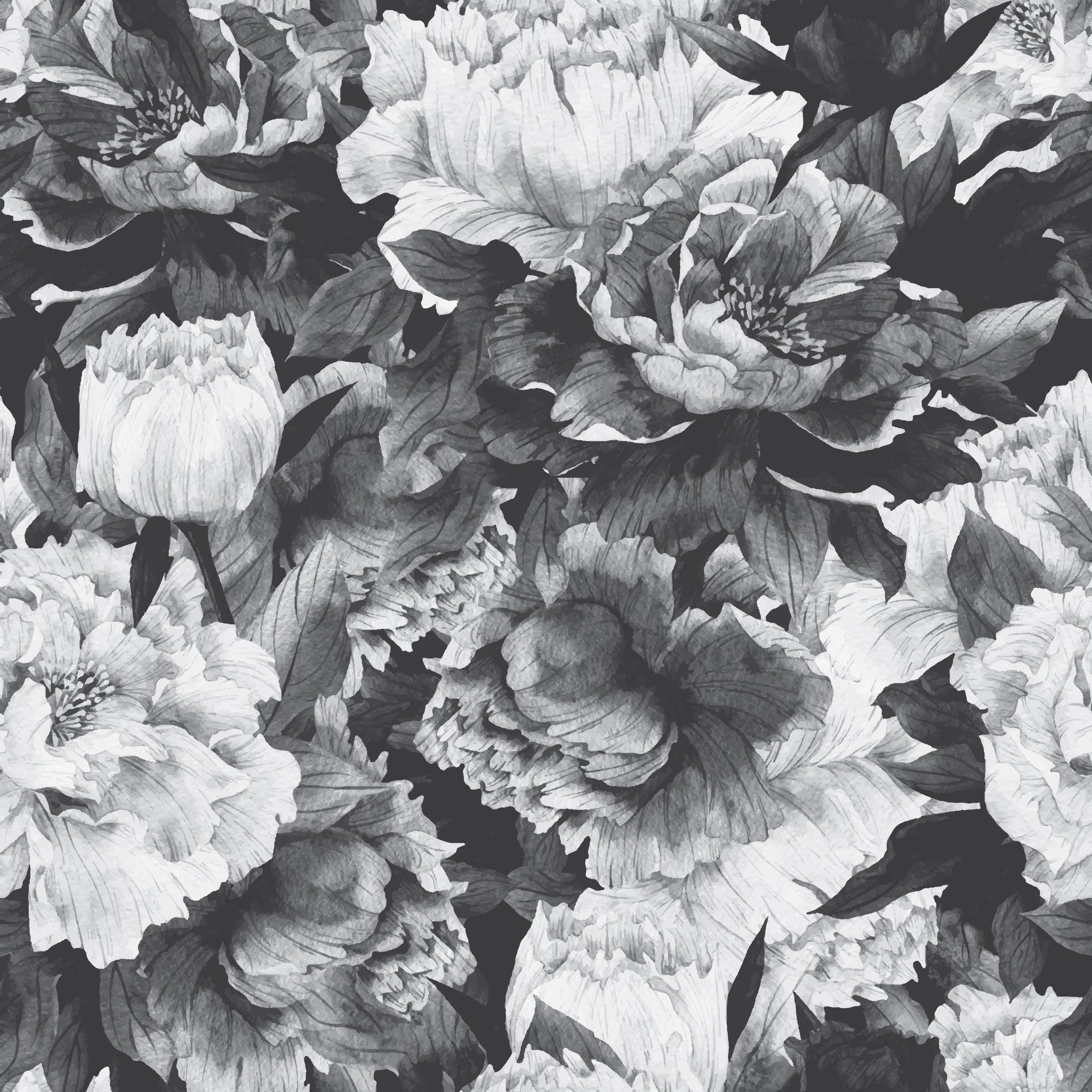 Avril Floral Removable Wallpaper in Black and White