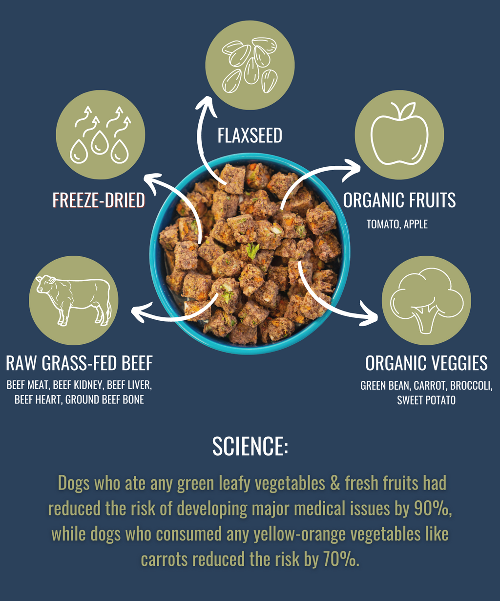 PREMIUM RAW FREEZE DRIED DOG FOOD BEEF