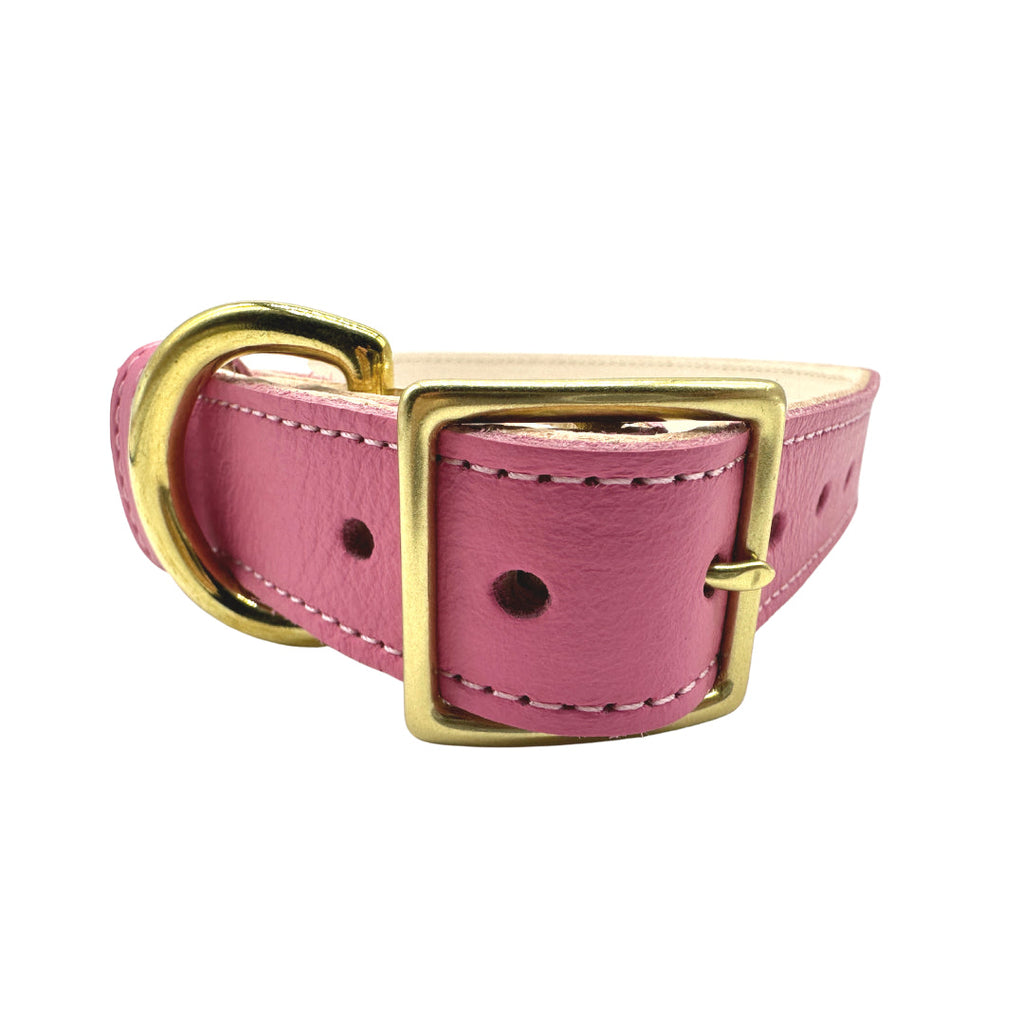 Leather Dog Collar