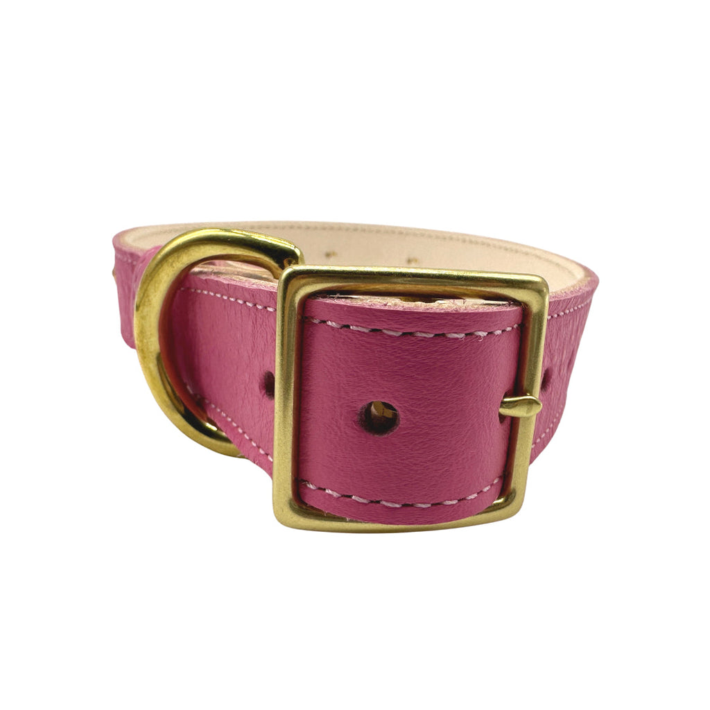 Leather Dog Collar