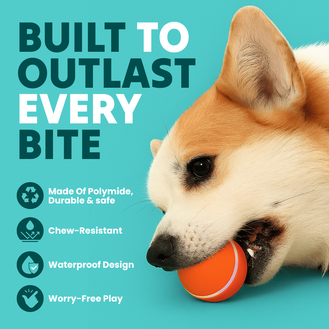 DOG’S INTERACTIVE BALL